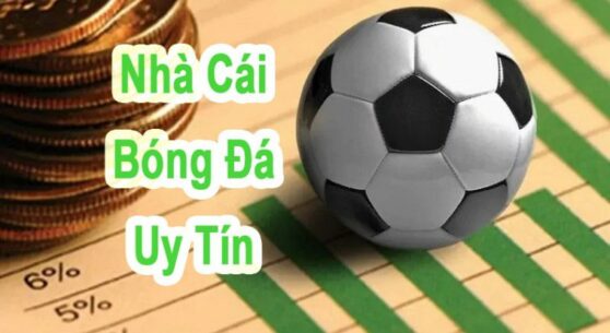 Tất tần tật về cá cược thể thao trực tuyến bạn phải biết