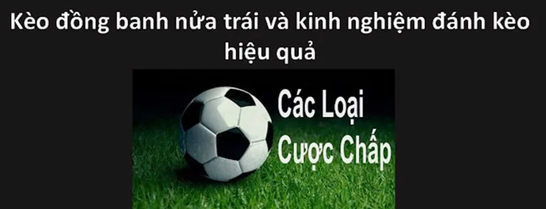 Tìm hiểu các kiểu cá độ bóng đá hiện nay