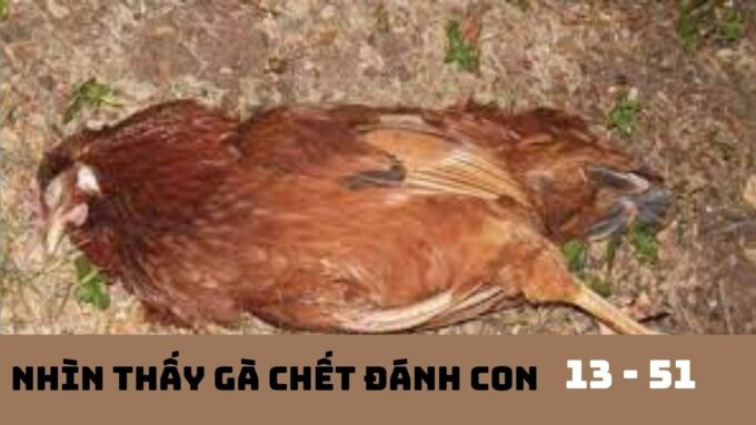 Nằm mơ thấy gà chết đánh con gì? Báo điềm lành hay xấu?