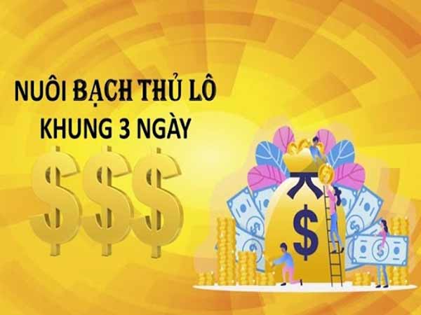 Hướng dẫn cách nuôi lô khung 3 ngày đơn giản và chính xác nhất