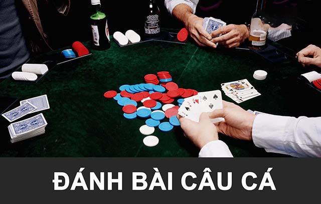 Hướng dẫn chơi game bài câu cá và mẹo giành chiến thắng