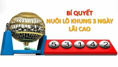 Phương Pháp Nuôi Lô Khung 3 Ngày Hiệu Quả Dành Cho Người Mới Bắt Đầu