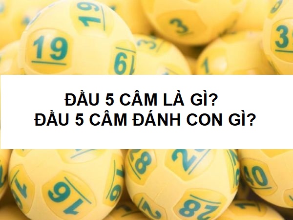 Đầu 5 câm đánh con gì? Kinh nghiệm đánh lô đề đầu đít câm