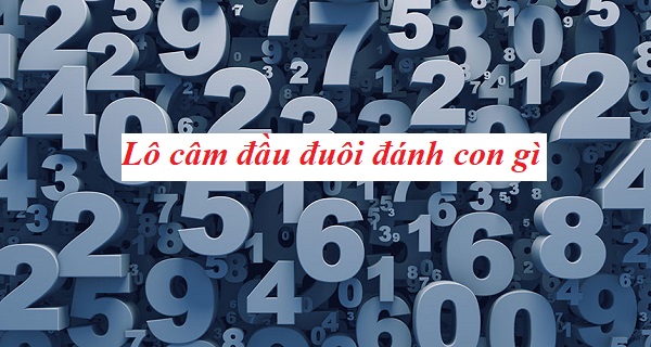 Giải đáp thắc mắc đầu 0 câm đánh con gì để dễ thắng nhất?