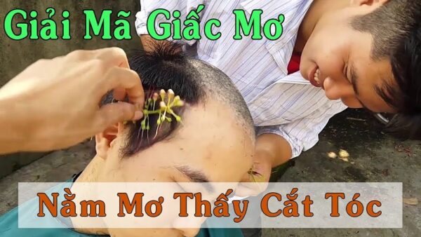 Mơ cắt tóc đánh con gì? Mơ thấy cắt tóc là điềm gì?