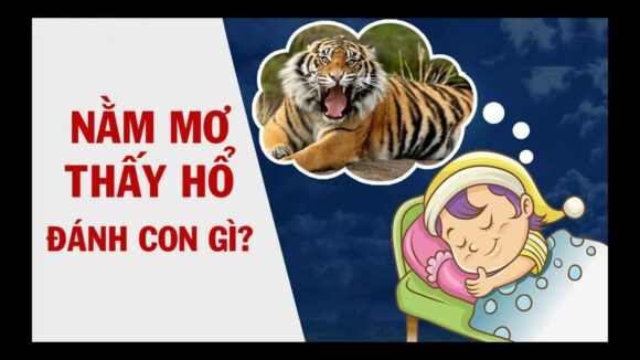 Mơ thấy hổ báo điềm gì? Nên đánh số nào may mắn?