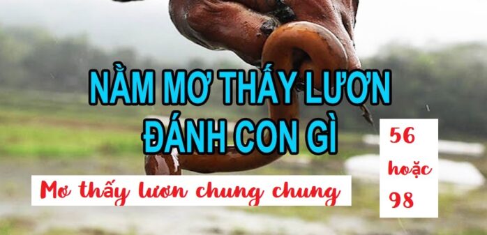 Mơ thấy lươn đánh con gì để thay đổi số phận