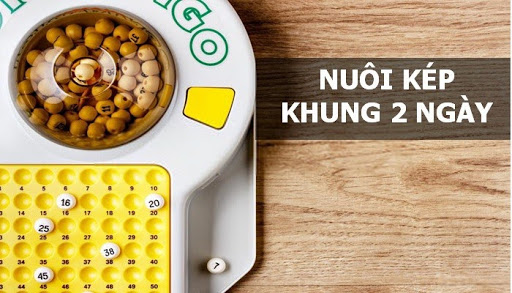 Lô kép nuôi khung 2 ngày và những điều cần biết