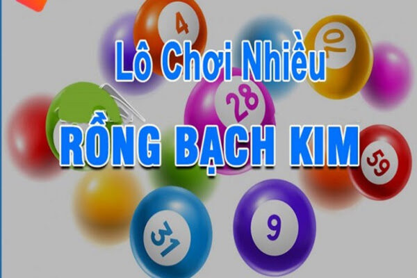 Rồng bạch kim là gì? Thống kê của rồng bạch kim lô chơi nhiều hôm nay