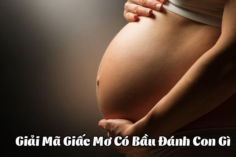 Mơ thấy có bầu đánh con gì? Nên đánh số nào dễ trúng nhất?