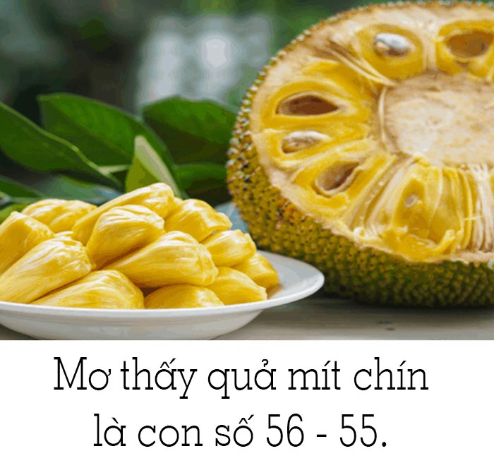 Mơ thấy mít chín đánh con gì thì chuẩn nhất?