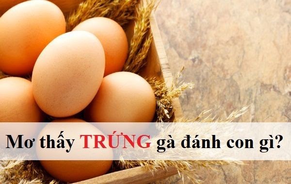 Giải mã giấc mơ thấy trứng đánh đề con gì?