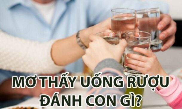 Giải mã giấc mơ uống rượu đánh con gì, ý nghĩa của giấc mơ