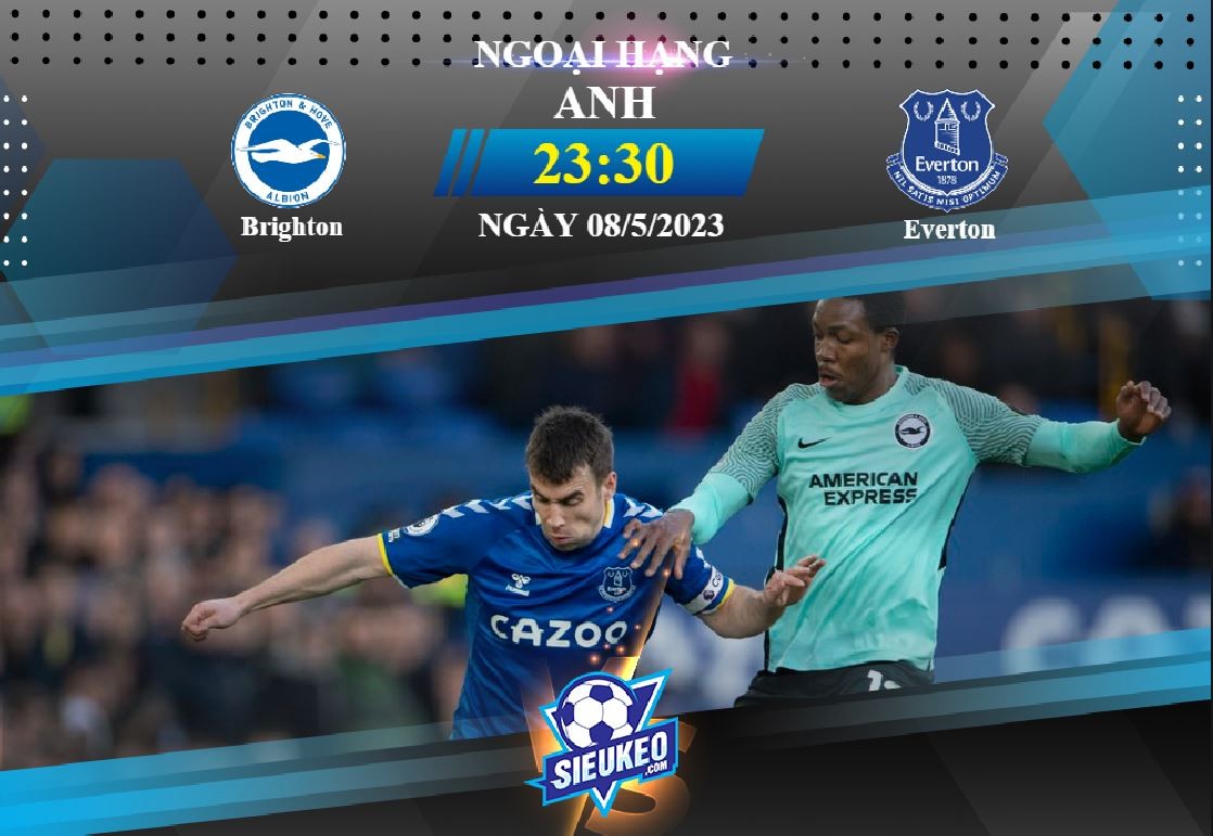 Soi kèo bóng đá Brighton vs Everton 23h30 ngày 08/05/2023: Tiệc tại Amex