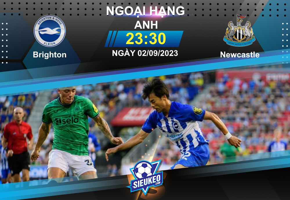 Soi kèo bóng đá Brighton vs Newcastle 23h30 ngày 02/09/2023: Chờ tiệc bàn thắng