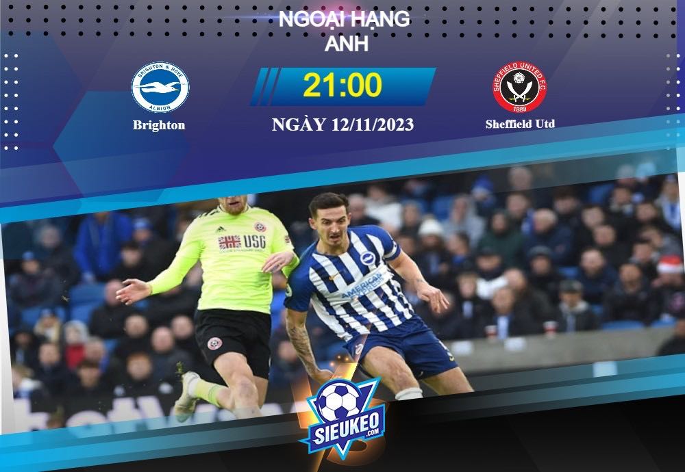 Soi kèo bóng đá Brighton vs Sheffield Utd 21h00 ngày 12/11/2023: Đội khách phát quà