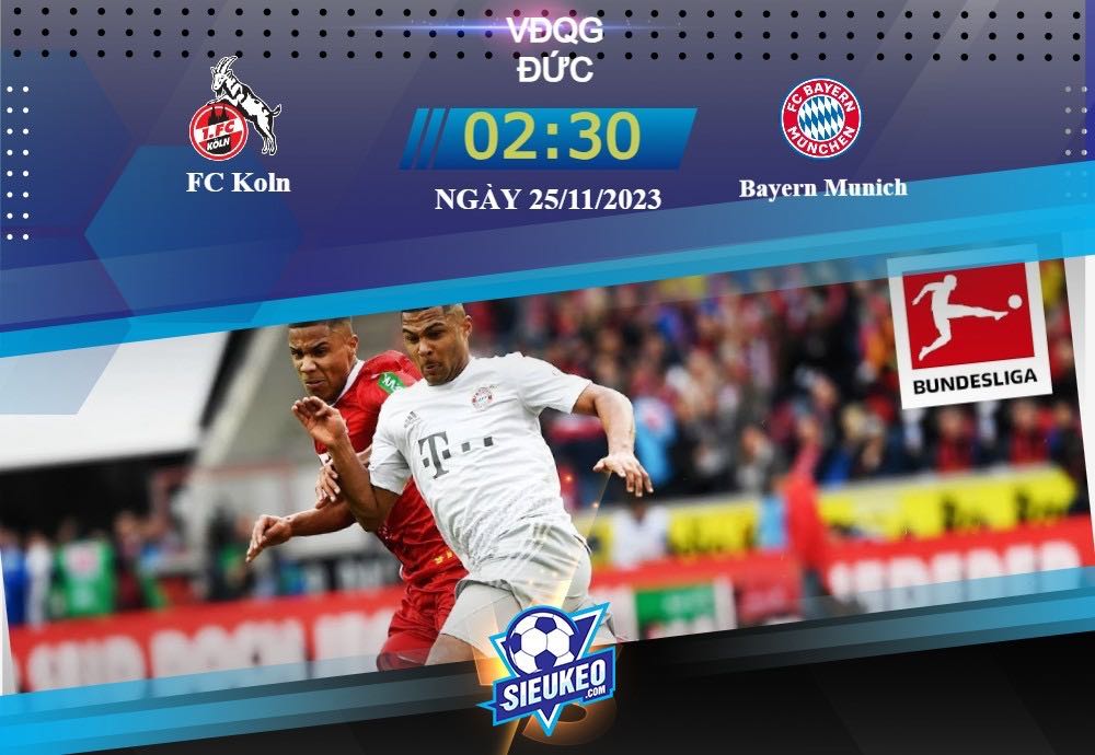 Soi kèo bóng đá FC Koln vs Bayern Munich 02h30 ngày 25/11/2023: Kéo dài mạch thắng