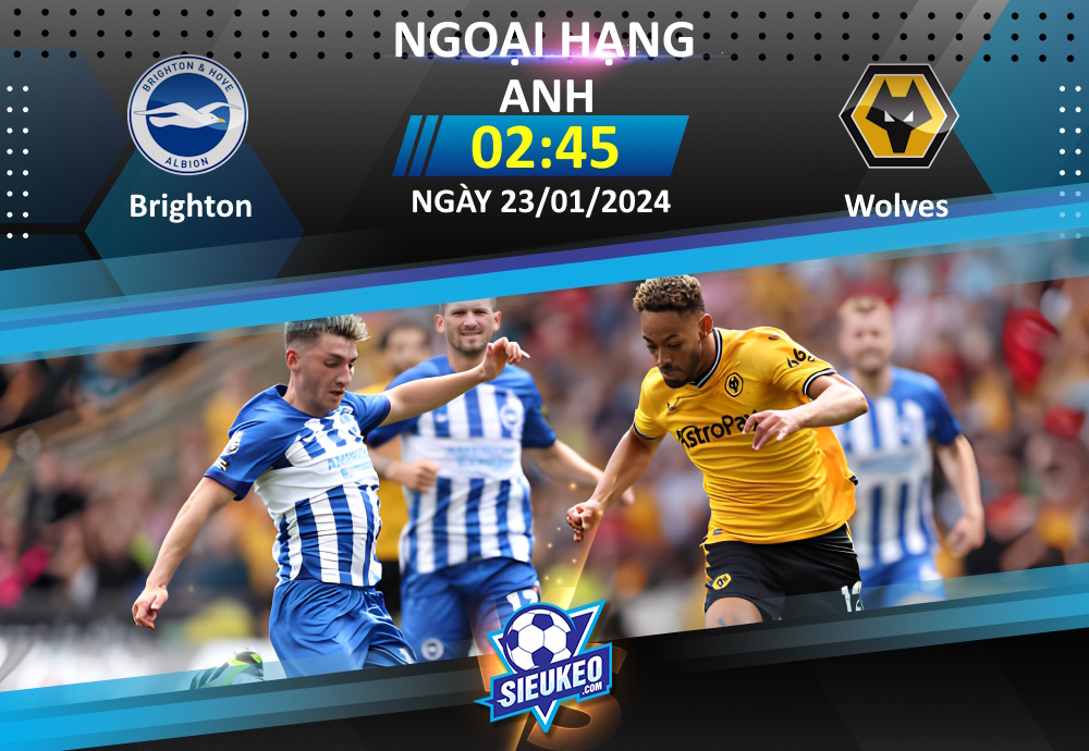 Soi kèo bóng đá Brighton vs Wolves 02h45 ngày 23/01/2024: 3 điểm ở lại