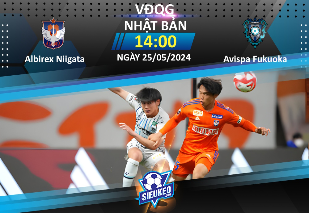 Soi kèo bóng đá Albirex Niigata vs Avispa Fukuoka 14h00 ngày 25/05/2024: Niềm vui ngắn chẳng tày gang